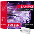 CL0025 LED AKULAMPID 100 LED-i