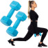 Hex Dumbbell Springos FA1030 2 x 1 kg