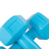 Hex Dumbbell Springos FA1030 2 x 1 kg