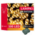 CL4030 LED AKULAMPID 100 LED-i