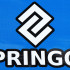 Jalgpallivärav Springos SG0010 240x170 cm