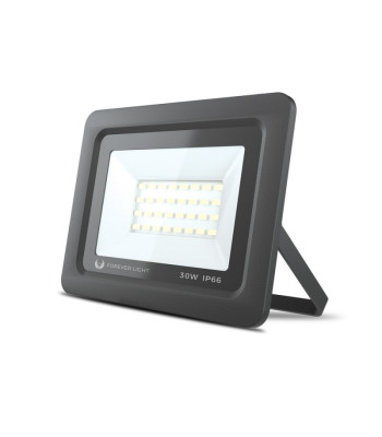 Kohtvalgusti LED PROXIM II 30W |6000K| IP66 Forever Light