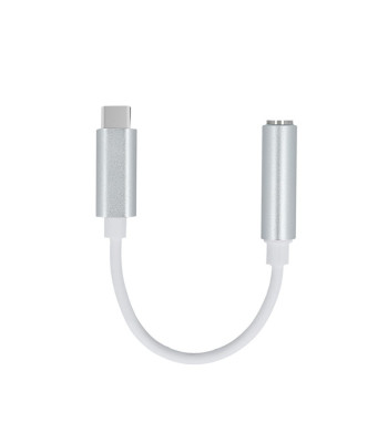 Adapter USB-C-pistikupesa 3,5 mm, Setty