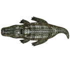 Bestway realistlik Reptile 193x94cm täispuhutav 41478